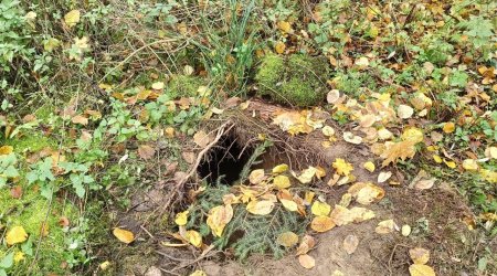 Polşa-Belarus sərhədində gizli tunel AŞKARLANDI