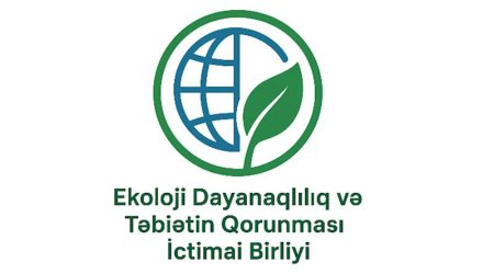 Azərbaycanda yeni təşkilat YARADILDI