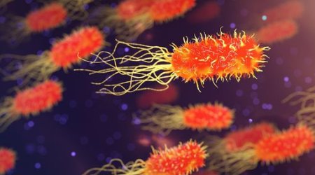 Bağırsaq bakteriyaları yuxuya birbaşa təsir göstərə bilər - ARAŞDIRMA