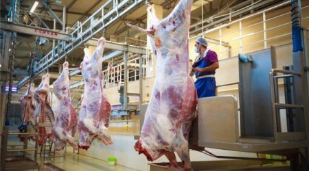 Azərbaycanda ətin bahalaşmasına səbəb olan AMİLLƏR