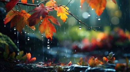 Ölkə ərazisində yağıntılı və küləkli hava davam edir - FAKTİKİ HAVA