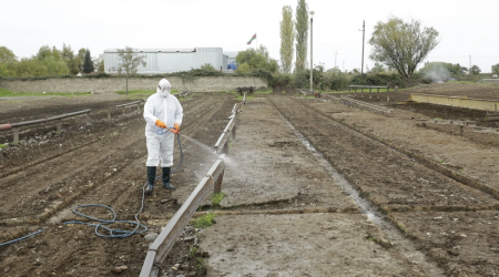 Heyvan satışı bazarlarında dezinfeksiya işləri aparılır - FOTO