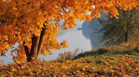 Sabah 25 dərəcə isti olacaq – PROQNOZ