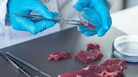 Bahalaşmaya alternativ ÇÖZÜM – Süni ət satışa çıxarılacaq?