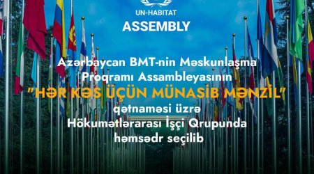 Azərbaycan BMT Hökumətlərarası İşçi Qrupunda həmsədr seçilib - FOTO