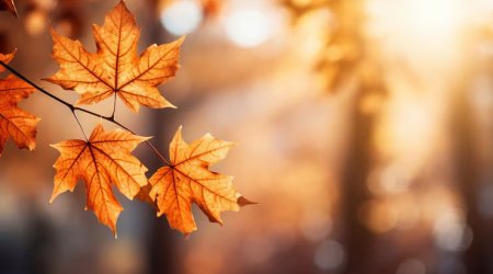 Sabahın HAVA proqnozu