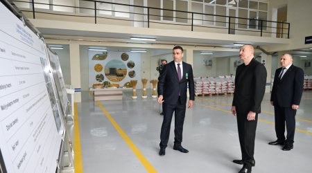 Prezident Sabirabadda toxum istehsalı müəssisəsində - FOTO/VİDEO