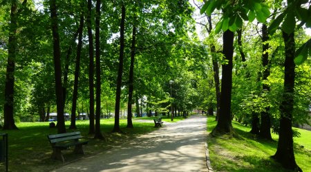 Bakıda oğlan parkda tanış olmaq istədiyi qızı qarət etdi