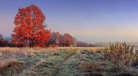 Noyabrın ilk gününün HAVASI AÇIQLANDI