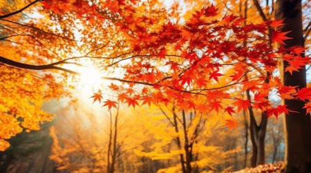 Noyabrda hava necə olacaq? – AYLIQ PROQNOZ