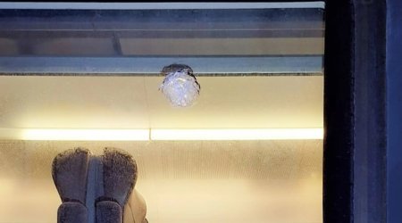 Qatara daş atanlar 15 yaşlı yeniyetmələr imiş – RƏSMİ