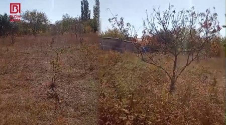 Tatarlı kəndində SU QITLIĞI davam edir – 12 artezian quyusu inşa edilibsə, su niyə YOXDUR?