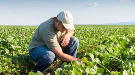 Rəsmi işi olmayan kəndlilərin ORTAQ PROBLEMİ – Necə kredit götürsünlər?