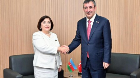 Milli Məclisin sədri Türkiyə Respublikasının Vitse-prezidenti ilə görüşüb