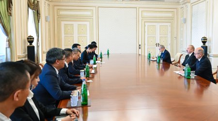 Prezident Çin şirkətinin nümayəndə heyətini qəbul etdi – FOTO