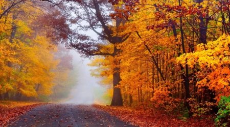 Sabahın hava PROQNOZU