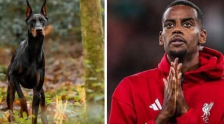 Ölümlə hədələndiyi üçün it ALDI