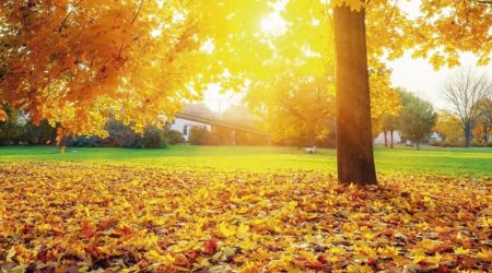 Rekord temperatur QEYDƏ ALINDI – Bu qış qar üzünə həsrət QALA BİLƏRİK...