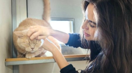 Leyla Əliyeva IDEA Heyvanlara Qayğı Mərkəzində - FOTO