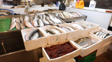 “8-ci km” bazarında yerləşən “Nəzrin-E” MMC-də ciddi nöqsanlar aşkarlandı - FOTO