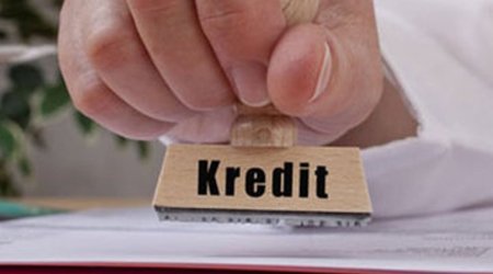 Sahibkarlar dövlət zəmanəti ilə nə qədər güzəştli kredit alıb?