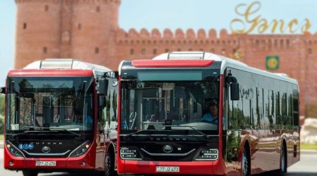 Gəncədə "BakuBus" sürücüsü ilə sərnişin arasında MÜBAHİSƏ &ndash; VİDEO