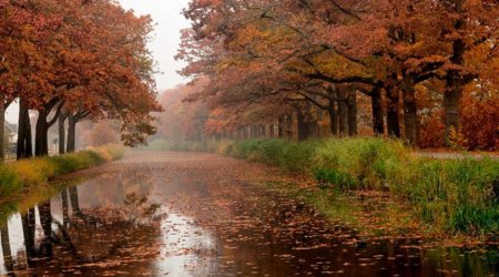 GÜNÜN HAVASI: Çiskinli yağış yağacaq
