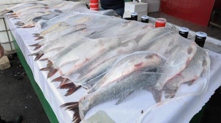 3-cü mikrorayon bazarında nöqsanlar aşkarlandı