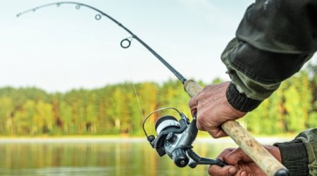 Bu gündən Azərbaycanda ov QADAĞAN OLUNUR