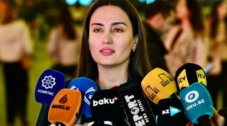 Bakı bulvarının Yeni il yarmarkasında ilk dəfə buz meydançası təşkil olunub