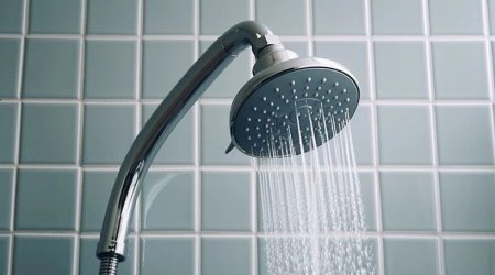 Göbələkdən tutmuş, leqionellaya qədər&hellip; - Duş başlığında gizlənən TƏHLÜKƏ