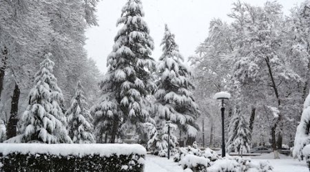 İsmayıllıya ilk qar yağdı – VİDEO