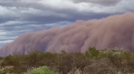 Avstraliyada qızıl mədənini qum fırtınası cənginə aldı &ndash; ANBAAN VİDEO