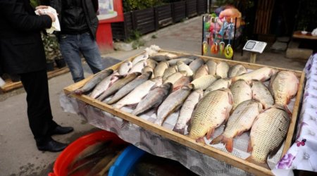 Bakının bu ərazisində qanunsuz küçə satışına qarşı REYD &ndash; FOTO/VİDEO