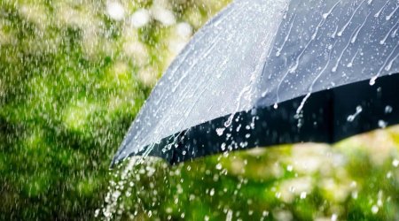 Sabah leysan olacaq &ndash; PROQNOZ