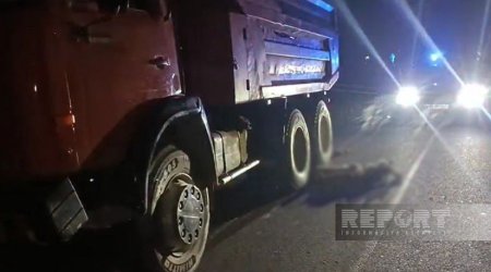 Salyanda avtomobil 20 başdan çox xırdabuynuzlu heyvanı vuraraq tələf etdi - VİDEO