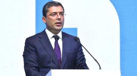 Əhməd İsmayılov: “Azərbaycan və Gürcüstan qlobal informasiya təhdidlərinə qarşı birgə layihələr həyata keçirə bilər”