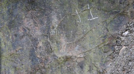 Çində 200 milyon illik dinozavr izləri tapıldı – FOTO