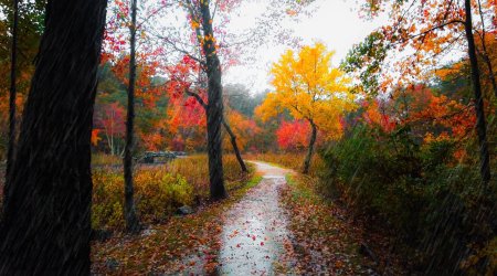 Sabah leysan yağacaq &ndash; PROQNOZ