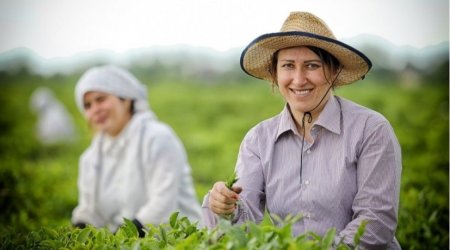 Fermerlərə ŞAD XƏBƏR &ndash; Bu metodla xəstəlik və zərərverici riskləri əvvəlcədən görmək mümkündür