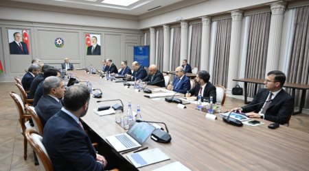 İqtisadi Şura və İnvestisiya Holdinqinin Müşahidə Şurasının birgə iclası keçirildi - FOTO