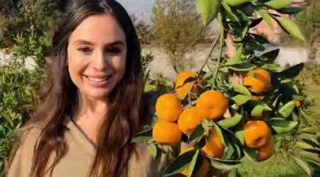 Leyla Əliyeva Lənkəran səfərindən PAYLAŞIM ETDİ &ndash; VİDEO