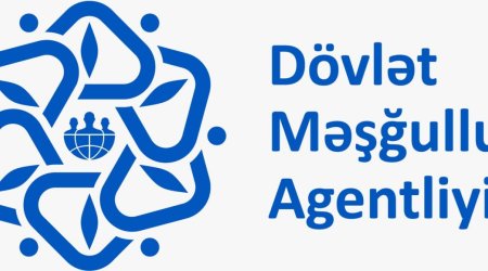 Dövlət Məşğulluq Agentliyi müəllif hüquqlarını pozub - İDDİA