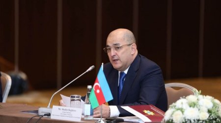 Şahin Bağırov onu vəzifəsindən azad etdi – FOTO