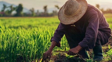 &ldquo;Məzunların bölgələrdə çalışması üçün yeni proqram hazırlana bilər&rdquo; &ndash; Deputatdan TƏKLİF