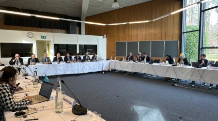 Cenevrədə Xəzər dənizi ilə bağlı yaradılmış xüsusi qrupun ikinci iclası oldu - FOTO