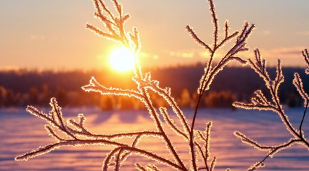 Bu şəhərdə cəmi 18 dəqiqə gündüz OLACAQ