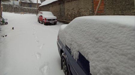 Qaxın bir neçə kəndi ağ örpəyə büründü - VİDEO