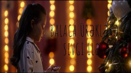 Polisin fəaliyyətinə həsr olunan VİDEOÇARX