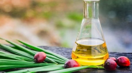 Azərbaycana nə qədər palma yağı gətirilib?